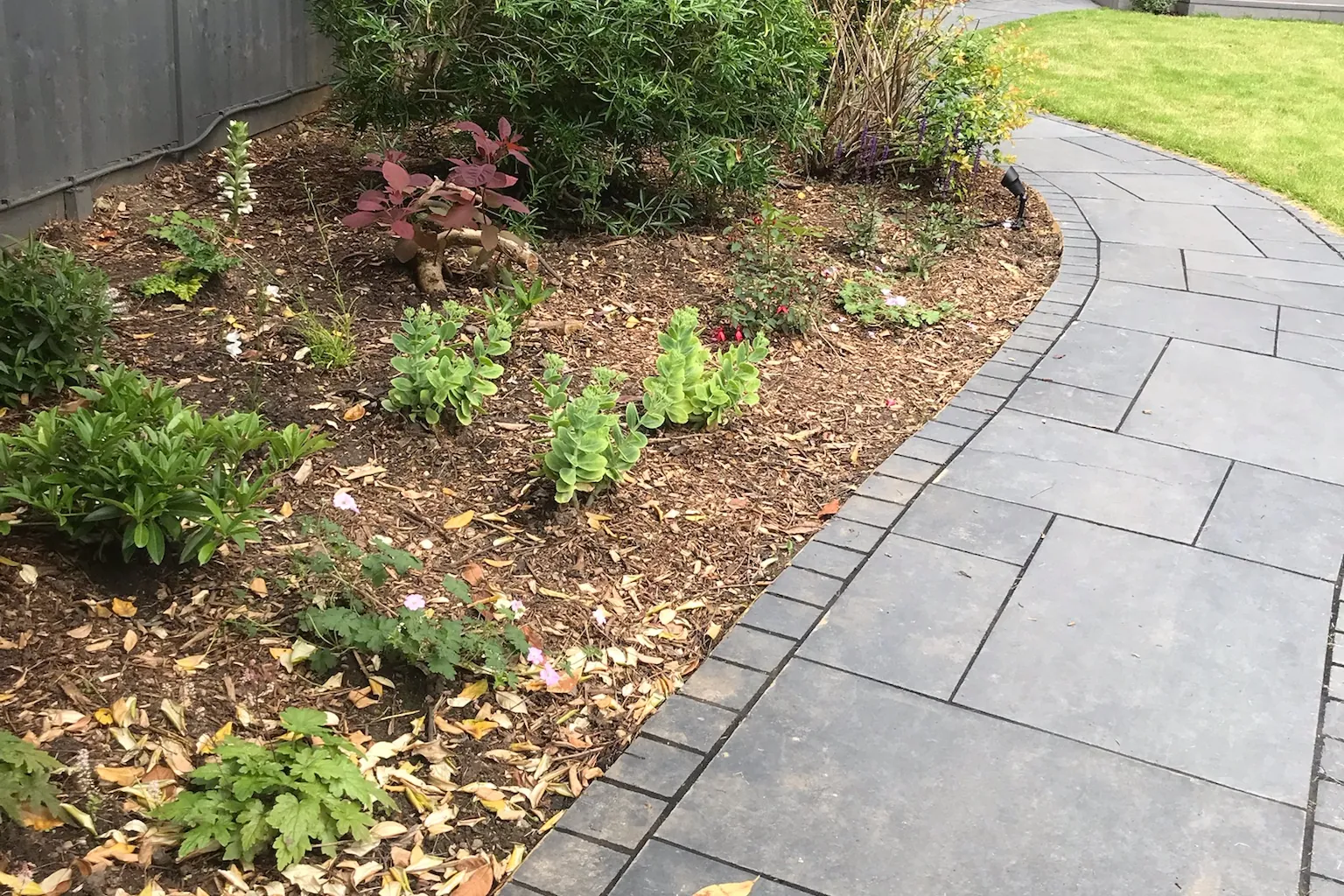 Slate path through new planting borders, Farnham Royal, Slough, 2021