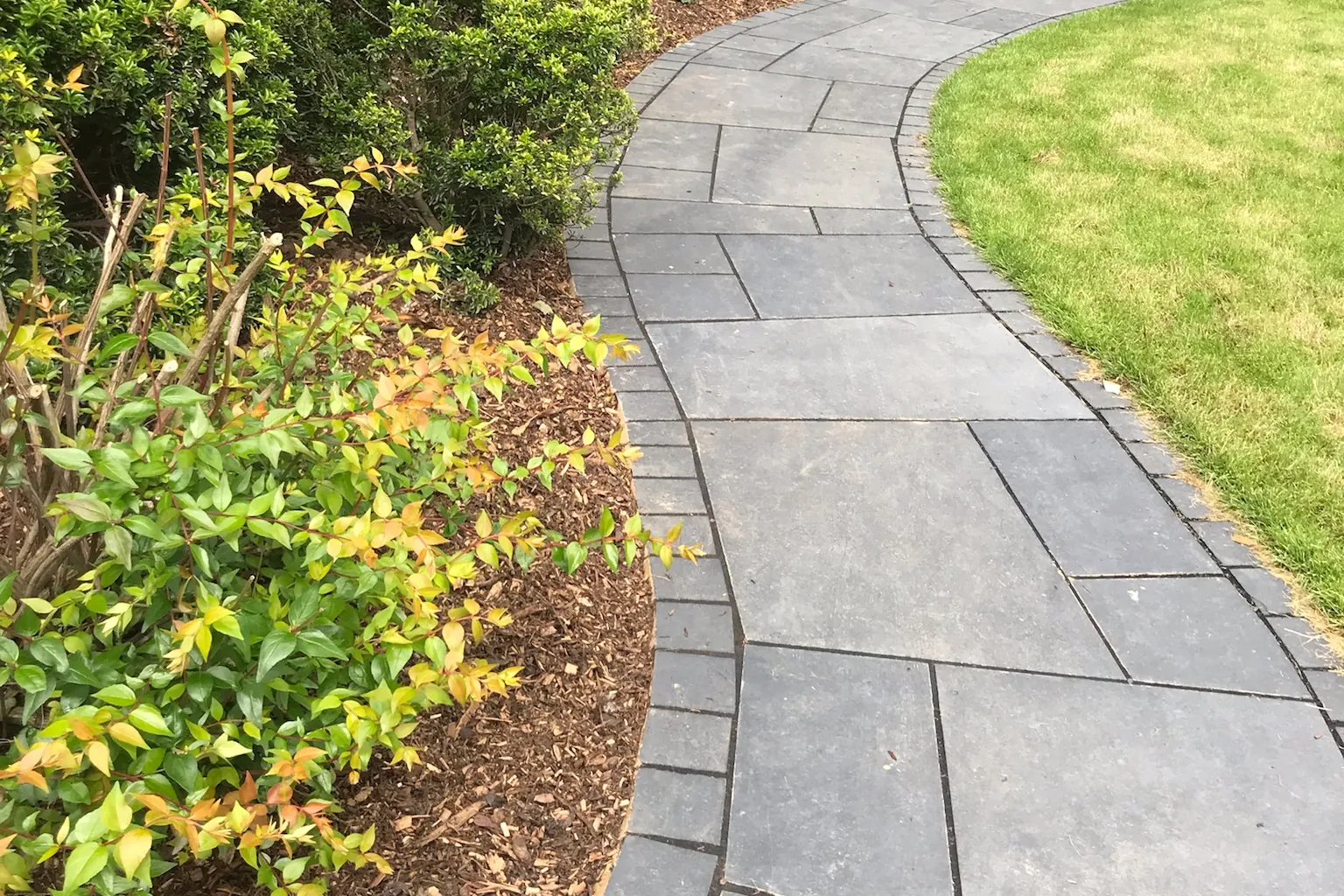 Slate path curving between new borders and the lawn, Farnham Royal, Slough, 2021