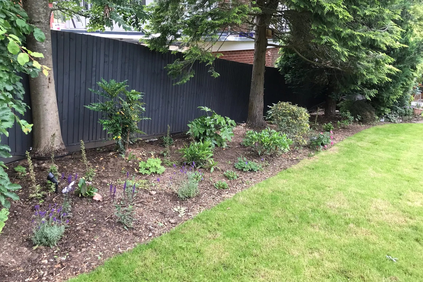 New planting border along the lawn, Farnham Royal, Slough, 2021